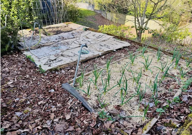Photo 34 of Sale Pending at 2815 24th Avenue S, Seattle, WA 98144 | MLS# NWM2545365 | Listing updated on 2026-10-12