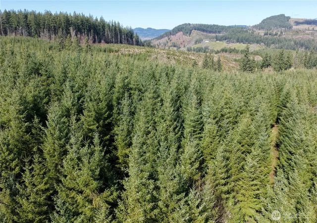 Photo 2 of Land for sale at 0 Se Tokul Rd, Snoqualmie, WA 98065 | MLS# NWM2545429 | Listing updated on 2026-09-22