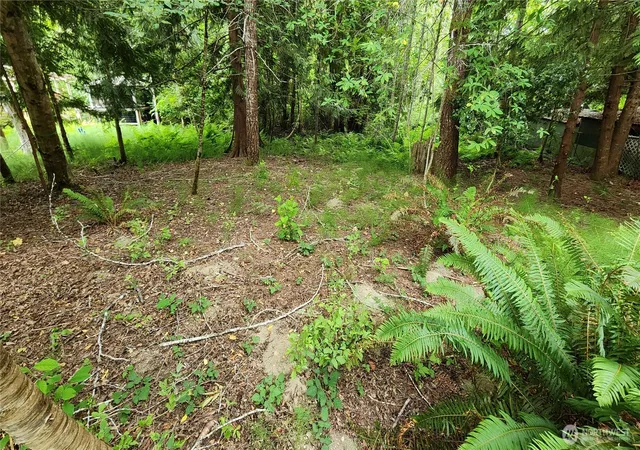 Photo 2 of Land for sale at 100 E Creekside Dr, Belfair, WA 98528 | MLS# NWM2545458 | Listing updated on 2026-09-22