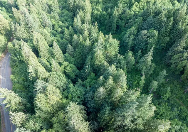 Photo 3 of Land for sale at 0 N Dubios Rd, Ariel, WA 98603 | MLS# NWM2545518 | Listing updated on 2026-09-22