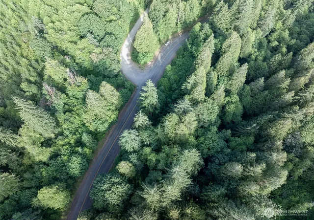 Photo 4 of Land for sale at 0 N Dubios Rd, Ariel, WA 98603 | MLS# NWM2545518 | Listing updated on 2026-09-22