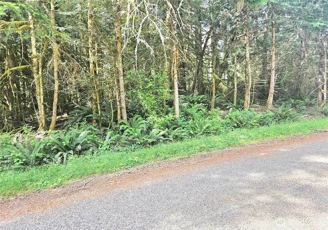 Photo 1 of Land for sale at 124 E Go Onna Dr, Quilcene, WA 98376 | MLS# NWM2545526 | Listing updated on 2026-09-22