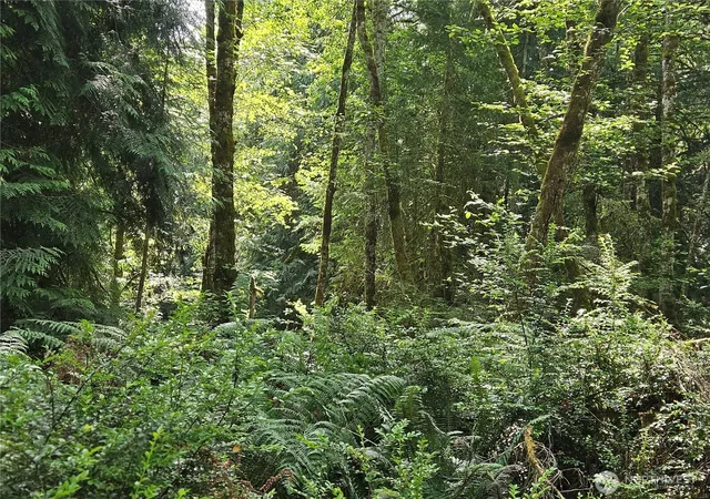 Photo 3 of Land for sale at 124 E Go Onna Dr, Quilcene, WA 98376 | MLS# NWM2545526 | Listing updated on 2026-09-22