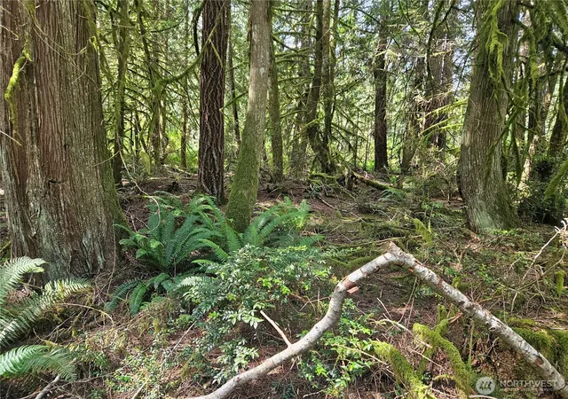 Photo 3 of Land for sale at 124 E Go Onna Dr, Quilcene, WA 98376 | MLS# NWM2545526 | Listing updated on 2026-09-22