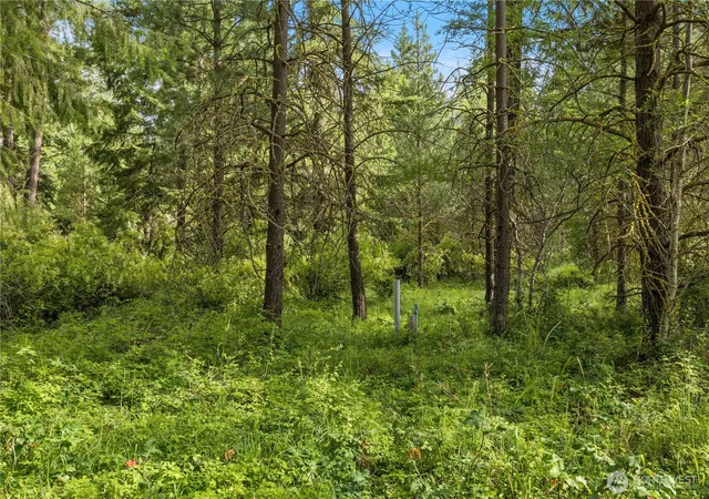 Photo 4 of Land for sale at 0 Westside Rd, Cle Elum, WA 98922 | MLS# NWM2545580 | Listing updated on 2026-09-22