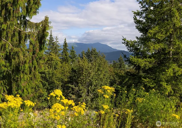 Photo 3 of Land for sale at 4 Avalon Hts Way, Sedro Woolley, WA 98284 | MLS# NWM2545680 | Listing updated on 2026-09-22