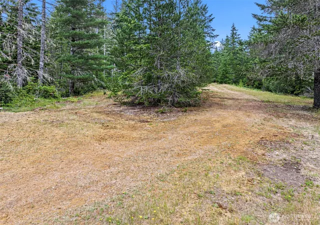 Photo 4 of Sale Pending at 101 NE Smithy Frg Ln, Belfair, WA 98528 | MLS# NWM2545763 | Listing updated on 2026-09-20
