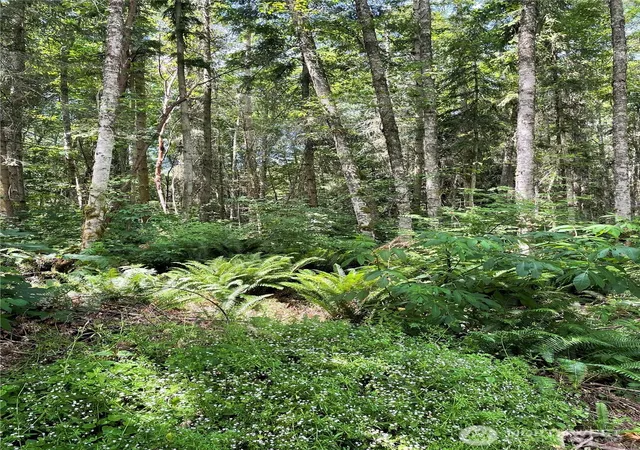 Photo 3 of Land for sale at 8807 Lot 2 Sr 20, Port Townsend, WA 98368 | MLS# NWM2545807 | Listing updated on 2026-09-22