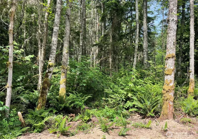 Photo 4 of Land for sale at 8807 Lot 2 Sr 20, Port Townsend, WA 98368 | MLS# NWM2545807 | Listing updated on 2026-09-22