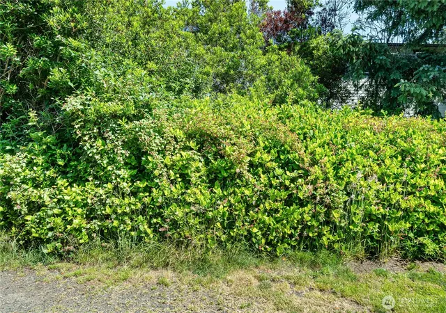 Photo 3 of Land for sale at 370 -360 Ocean Shrs Blvd SW, Ocean Shores, WA 98569 | MLS# NWM2545813 | Listing updated on 2026-09-22