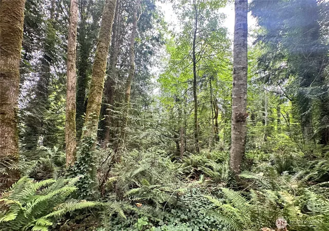 Photo 3 of Land for sale at 0 Alder, Indianola, WA 98342 | MLS# NWM2545852 | Listing updated on 2026-09-29