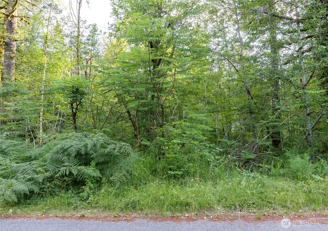 Photo 3 of Land for sale at 7573 Glacier Springs Dr, Deming, WA 98244 | MLS# NWM2546003 | Listing updated on 2026-09-22
