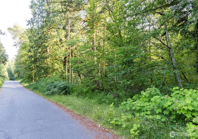 Photo 4 of Land for sale at 7573 Glacier Springs Dr, Deming, WA 98244 | MLS# NWM2546003 | Listing updated on 2026-09-22