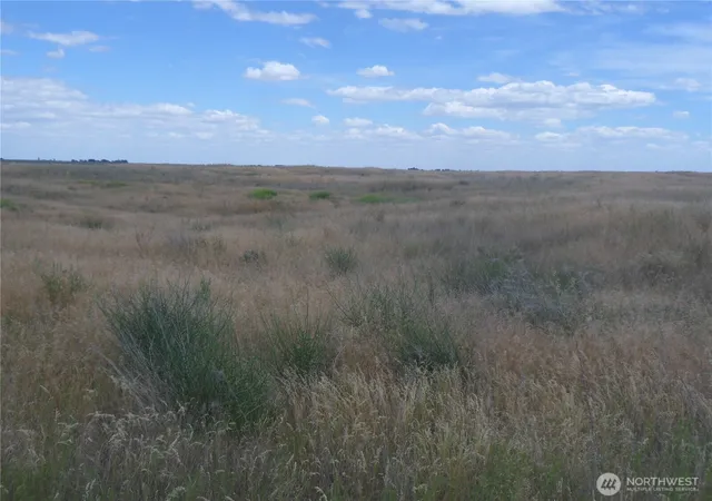 Photo 4 of Land for sale at 0 Eastlake Rd, Ephrata, WA 98823 | MLS# NWM2546020 | Listing updated on 2026-09-22