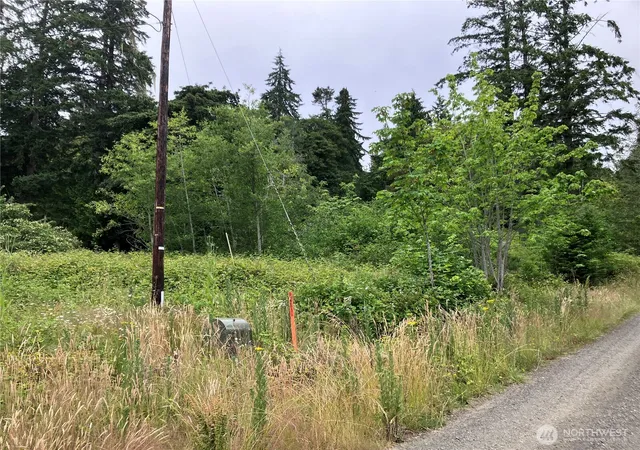 Photo 2 of Land for sale at 0 N Viken Ln, Hoodsport, WA 98548 | MLS# NWM2546076 | Listing updated on 2026-09-22
