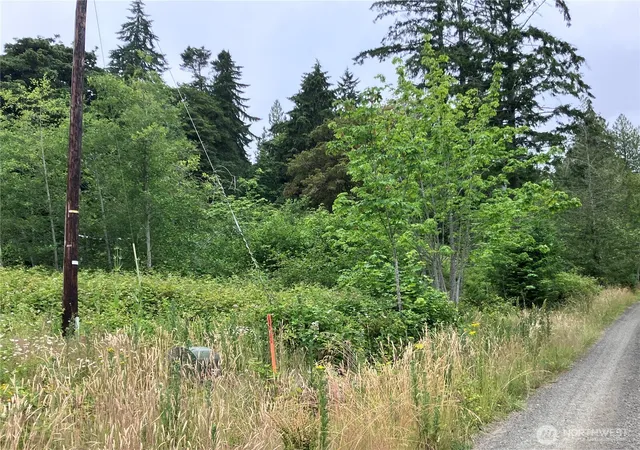 Photo 3 of Land for sale at 0 N Viken Ln, Hoodsport, WA 98548 | MLS# NWM2546076 | Listing updated on 2026-09-22