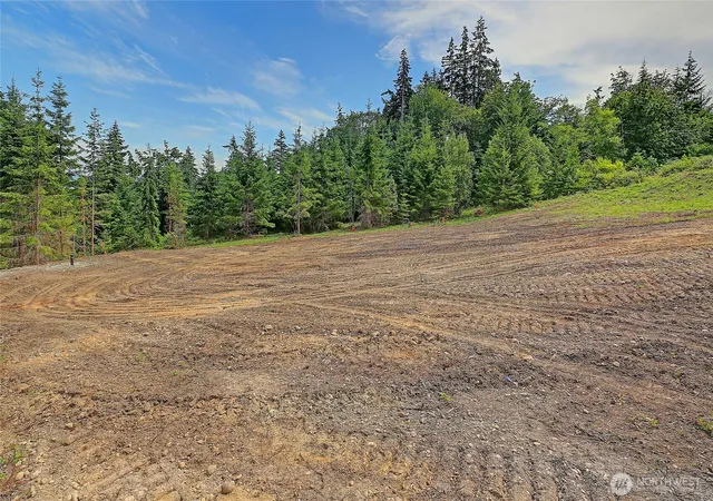 Photo 4 of Land for sale at 1 I Triangle Cvs Ln, Camano Island, WA 98282 | MLS# NWM2546395 | Listing updated on 2026-09-22