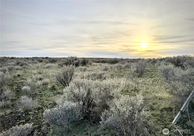Photo 2 of Land for sale at 0 156 Rd Ne #98860, Wilson Creek, WA 98860 | MLS# NWM2546415 | Listing updated on 2026-09-22