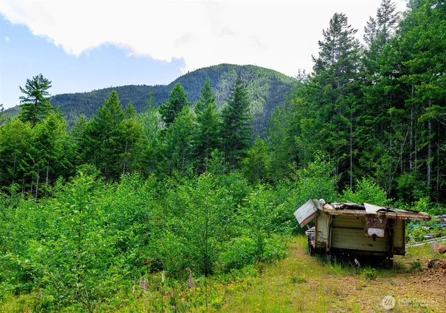 Photo 3 of Land for sale at 129 Valley View Ln, Brinnon, WA 98320 | MLS# NWM2546430 | Listing updated on 2026-09-22