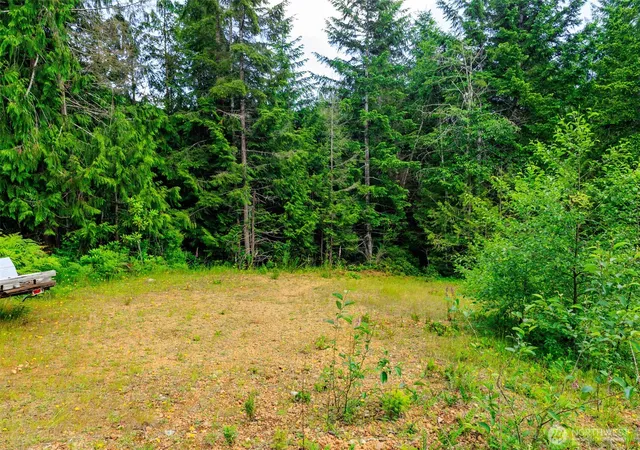 Photo 2 of Land for sale at 129 Valley View Ln, Brinnon, WA 98320 | MLS# NWM2546430 | Listing updated on 2026-09-22
