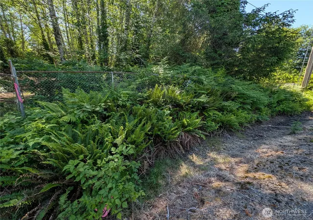 Photo 3 of Land for sale at 181327 Highway 101, Forks, WA 98331 | MLS# NWM2546483 | Listing updated on 2026-09-30