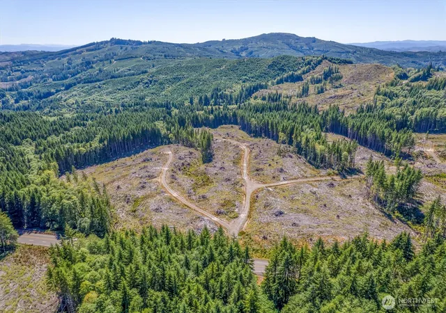 Photo 1 of Land for sale at 0 Ocean Beach Hwy, Skamokawa, WA 98647 | MLS# NWM2546535 | Listing updated on 2026-09-22