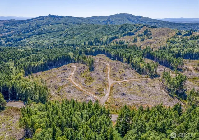 Photo 2 of Land for sale at 0 Ocean Beach Hwy, Skamokawa, WA 98647 | MLS# NWM2546535 | Listing updated on 2026-09-22