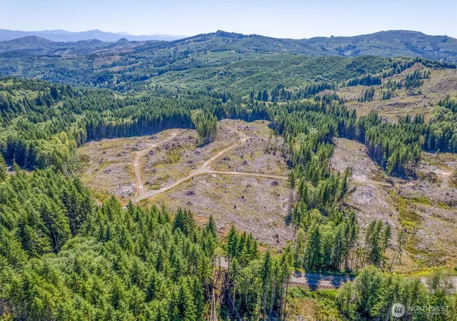 Photo 3 of Land for sale at 0 Ocean Beach Hwy, Skamokawa, WA 98647 | MLS# NWM2546535 | Listing updated on 2026-09-22