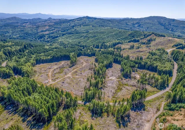 Photo 3 of Land for sale at 0 Ocean Beach Hwy, Skamokawa, WA 98647 | MLS# NWM2546535 | Listing updated on 2026-09-22