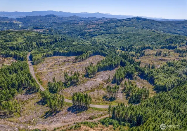 Photo 4 of Land for sale at 0 Ocean Beach Hwy, Skamokawa, WA 98647 | MLS# NWM2546535 | Listing updated on 2026-09-22