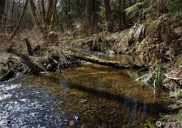 Photo 4 of Land for sale at 999 S Bagley Crk Rd, Port Angeles, WA 98362 | MLS# NWM2546574 | Listing updated on 2026-09-22