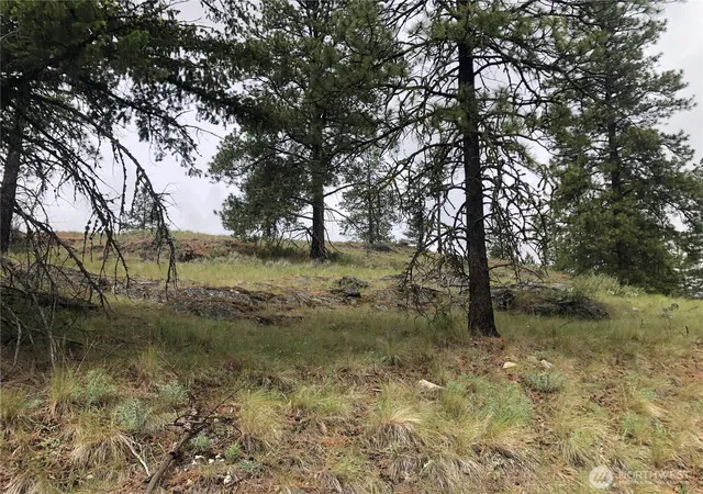 Photo 1 of Land for sale at 227 Point Dr, Oroville, WA 98844 | MLS# NWM2546619 | Listing updated on 2026-09-22