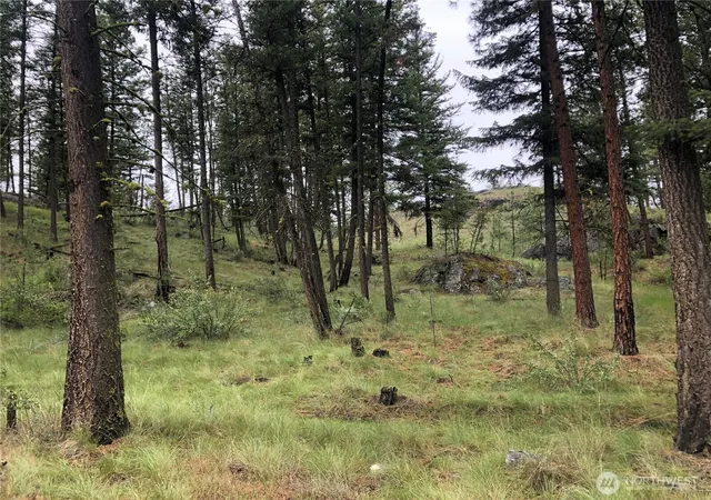 Photo 2 of Land for sale at 227 Point Dr, Oroville, WA 98844 | MLS# NWM2546619 | Listing updated on 2026-09-22