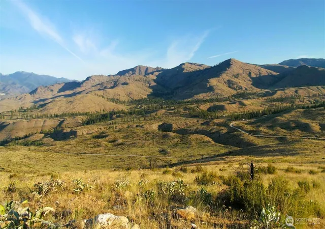 Land for sale at 75 High Ranch Rd, Methow, WA 98834 | MLS# NWM2546644