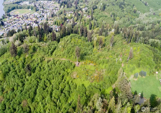 Photo 3 of Land for sale at 1111 Washington Cemetery Rd, Raymond, WA 98577 | MLS# NWM2546684 | Listing updated on 2026-09-22
