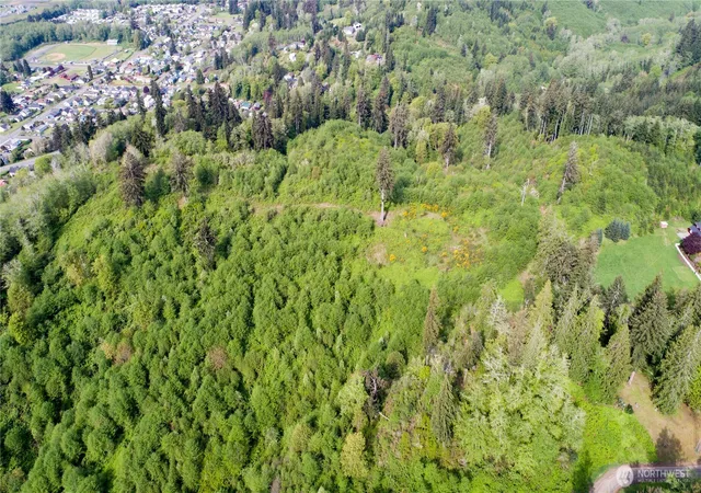 Photo 3 of Land for sale at 1111 Washington Cemetery Rd, Raymond, WA 98577 | MLS# NWM2546684 | Listing updated on 2026-09-22