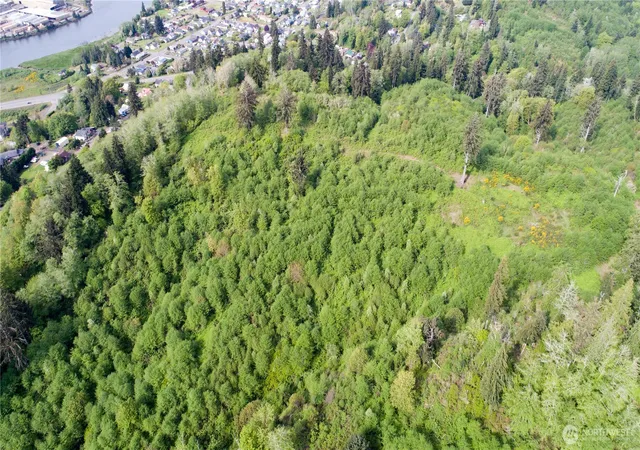 Photo 4 of Land for sale at 1111 Washington Cemetery Rd, Raymond, WA 98577 | MLS# NWM2546684 | Listing updated on 2026-09-22
