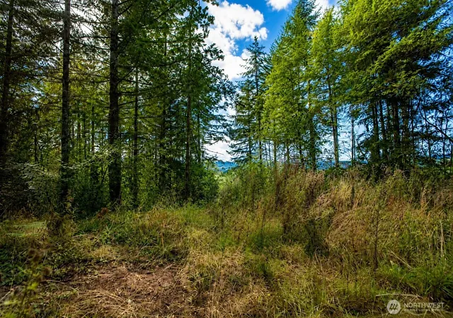 Photo 3 of Land for sale at 673 Curtis Hl Rd #67, Chehalis, WA 98532 | MLS# NWM2546691 | Listing updated on 2026-09-28