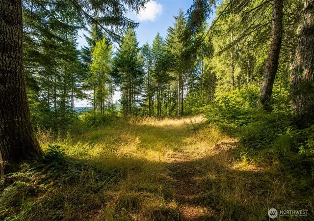 Photo 3 of Land for sale at 673 Curtis Hl Rd #67, Chehalis, WA 98532 | MLS# NWM2546691 | Listing updated on 2026-09-28