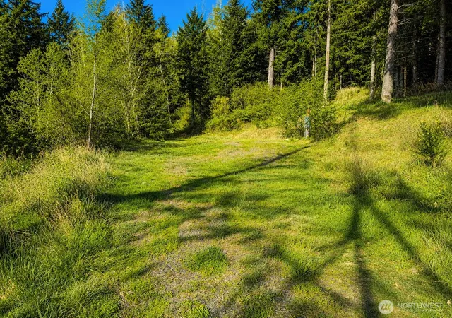 Photo 4 of Land for sale at 673 Curtis Hl Rd #67, Chehalis, WA 98532 | MLS# NWM2546691 | Listing updated on 2026-09-28
