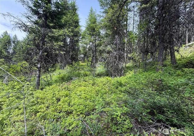 Photo 1 of Sale Pending at 0 Mule Deer, Republic, WA 99166 | MLS# NWM2546726 | Listing updated on 2026-09-30