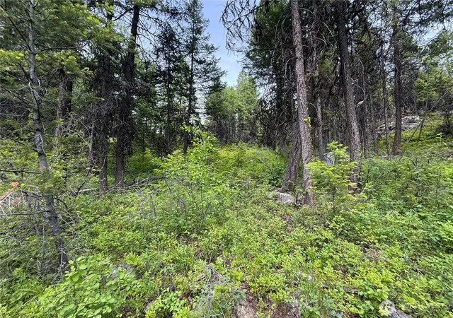 Photo 2 of Sale Pending at 0 Mule Deer, Republic, WA 99166 | MLS# NWM2546726 | Listing updated on 2026-09-30