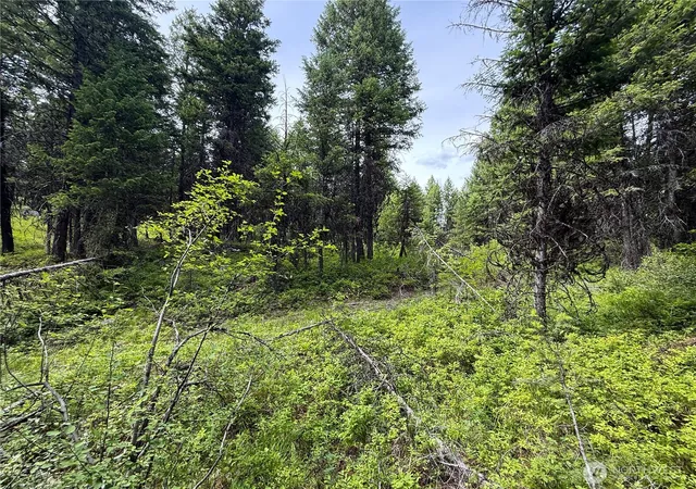 Photo 3 of Sale Pending at 0 Mule Deer, Republic, WA 99166 | MLS# NWM2546726 | Listing updated on 2026-09-30