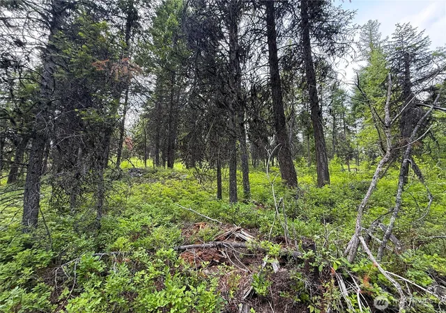 Photo 3 of Sale Pending at 0 Mule Deer, Republic, WA 99166 | MLS# NWM2546726 | Listing updated on 2026-09-30
