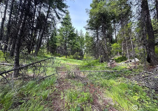 Photo 4 of Sale Pending at 0 Mule Deer, Republic, WA 99166 | MLS# NWM2546726 | Listing updated on 2026-09-30
