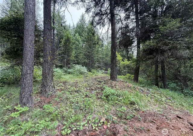Photo 1 of Sale Pending at 0 Mule Deer Rd, Republic, WA 99166 | MLS# NWM2546740 | Listing updated on 2026-09-30
