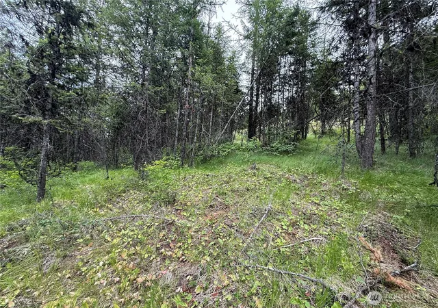 Photo 2 of Sale Pending at 0 Mule Deer Rd, Republic, WA 99166 | MLS# NWM2546740 | Listing updated on 2026-09-30