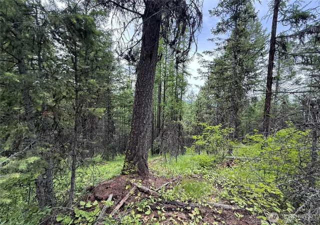 Photo 3 of Sale Pending at 0 Mule Deer Rd, Republic, WA 99166 | MLS# NWM2546740 | Listing updated on 2026-09-30