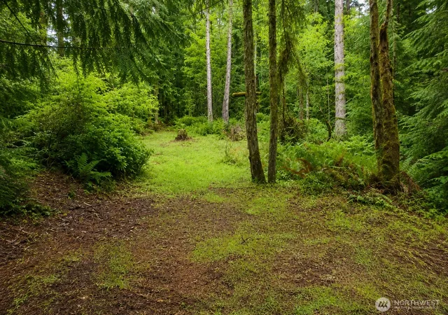 Photo 2 of Land for sale at 22 Xx E S Is Dr, Shelton, WA 98584 | MLS# NWM2546747 | Listing updated on 2026-09-22