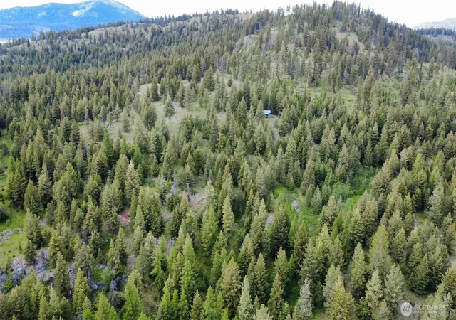 Photo 3 of Land for sale at 0 Tbd Blue Meadow Rd, Tonasket, WA 98855 | MLS# NWM2546766 | Listing updated on 2026-09-22